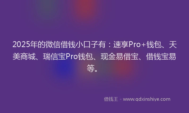 2025年的微信借钱小口子有：速享Pro+钱包、天美商城、瑞信宝Pro钱包、现金易借宝、借钱宝易等。