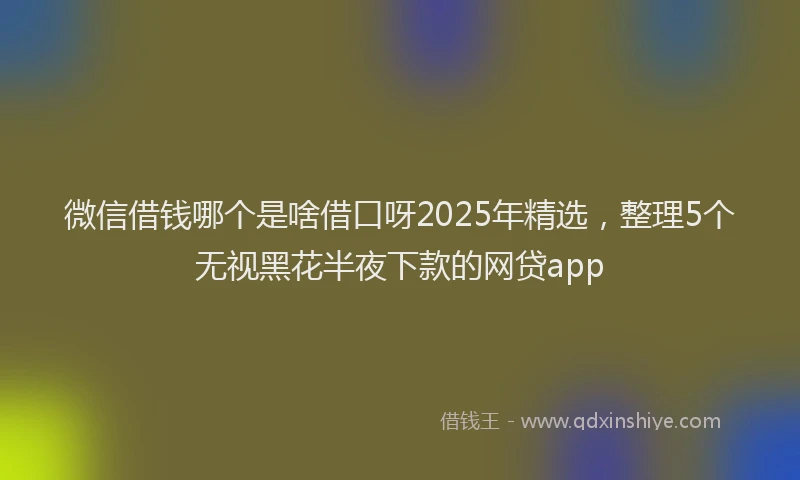微信借钱哪个是啥借口呀2025年精选，整理5个无视黑花半夜下款的网贷app