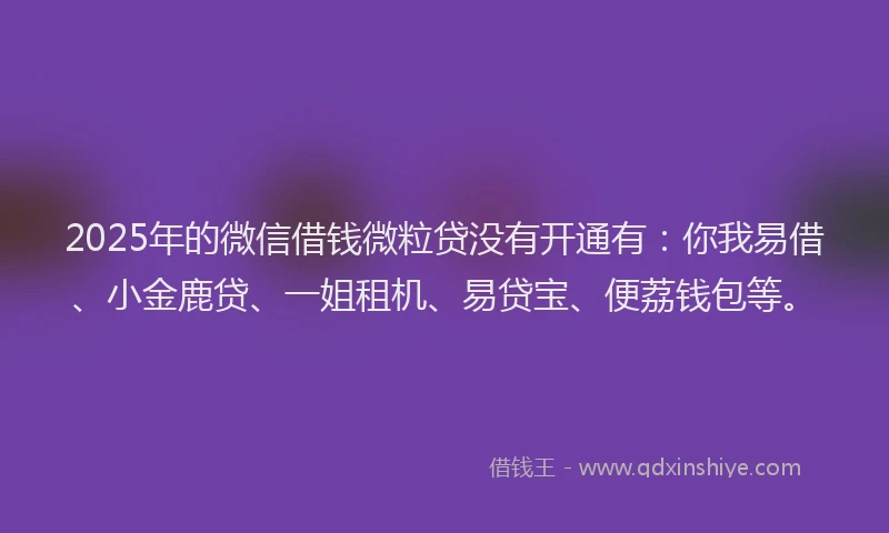 2025年的微信借钱微粒贷没有开通有：你我易借、小金鹿贷、一姐租机、易贷宝、便荔钱包等。