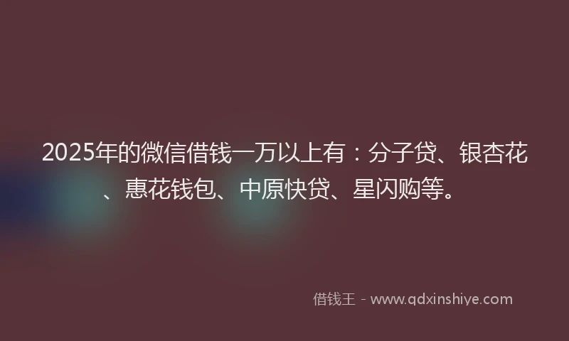 2025年的微信借钱一万以上有：分子贷、银杏花、惠花钱包、中原快贷、星闪购等。