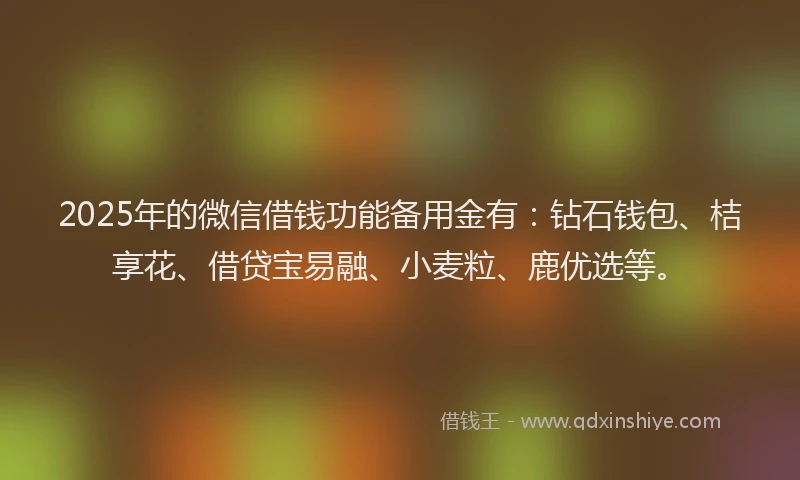 2025年的微信借钱功能备用金有：钻石钱包、桔享花、借贷宝易融、小麦粒、鹿优选等。