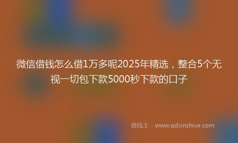 微信借钱怎么借1万多呢2025年精选，整合5个无视一切包下款5000秒下款的口子