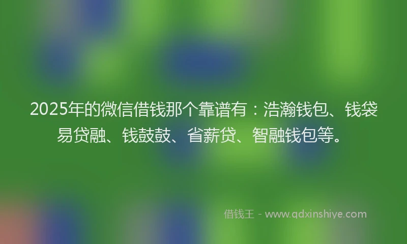 2025年的微信借钱那个靠谱有：浩瀚钱包、钱袋易贷融、钱鼓鼓、省薪贷、智融钱包等。