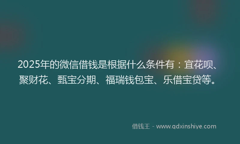 2025年的微信借钱是根据什么条件有：宜花呗、聚财花、甄宝分期、福瑞钱包宝、乐借宝贷等。
