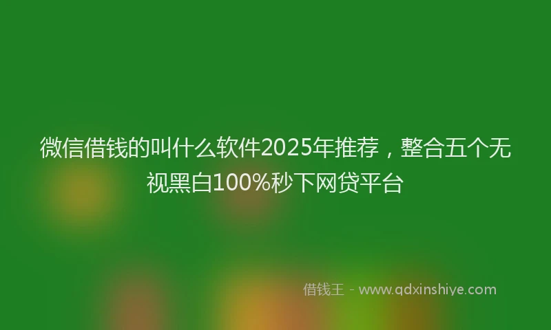 微信借钱的叫什么软件2025年推荐，整合五个无视黑白100%秒下网贷平台