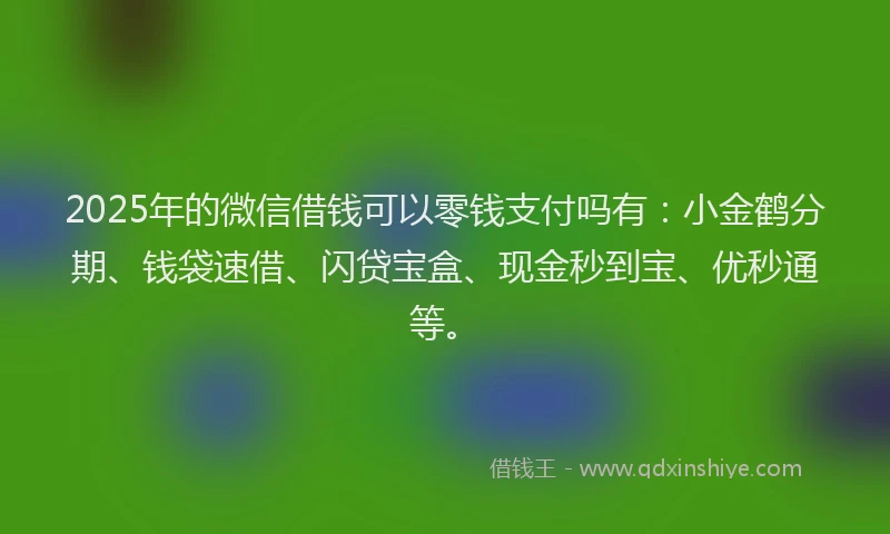2025年的微信借钱可以零钱支付吗有：小金鹤分期、钱袋速借、闪贷宝盒、现金秒到宝、优秒通等。