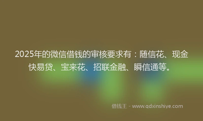 2025年的微信借钱的审核要求有：随信花、现金快易贷、宝来花、招联金融、瞬信通等。