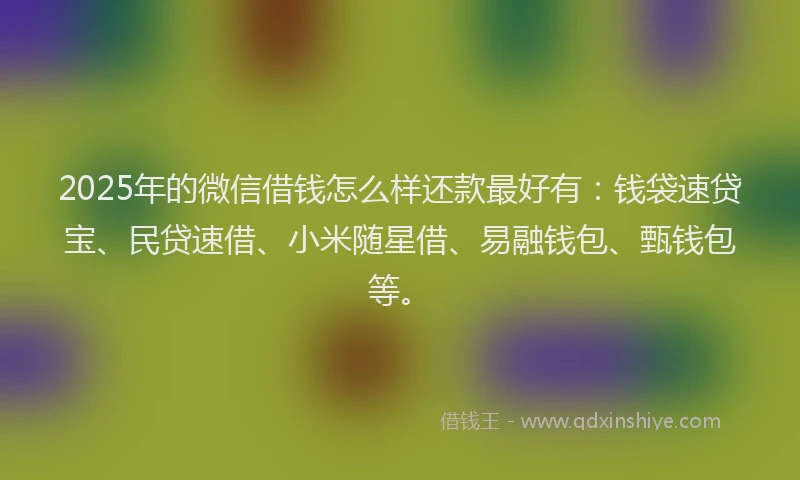 2025年的微信借钱怎么样还款最好有：钱袋速贷宝、民贷速借、小米随星借、易融钱包、甄钱包等。
