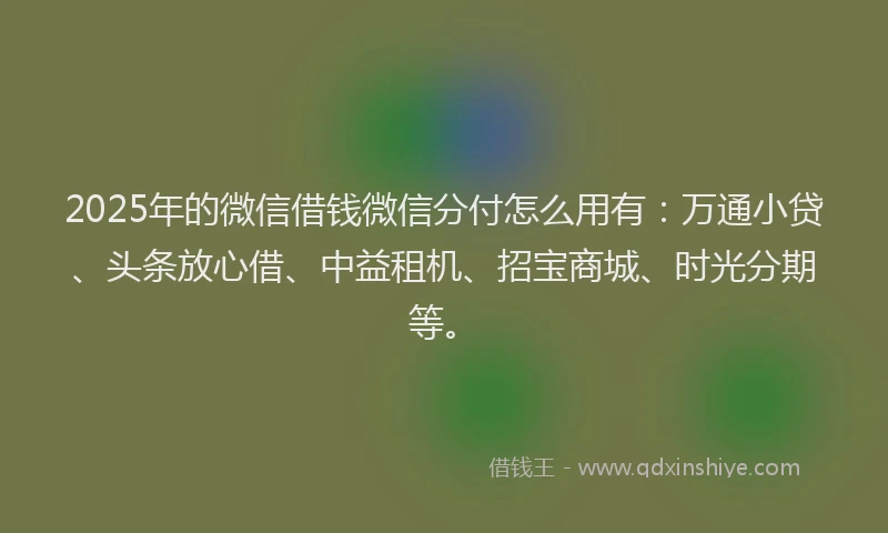 2025年的微信借钱微信分付怎么用有：万通小贷、头条放心借、中益租机、招宝商城、时光分期等。