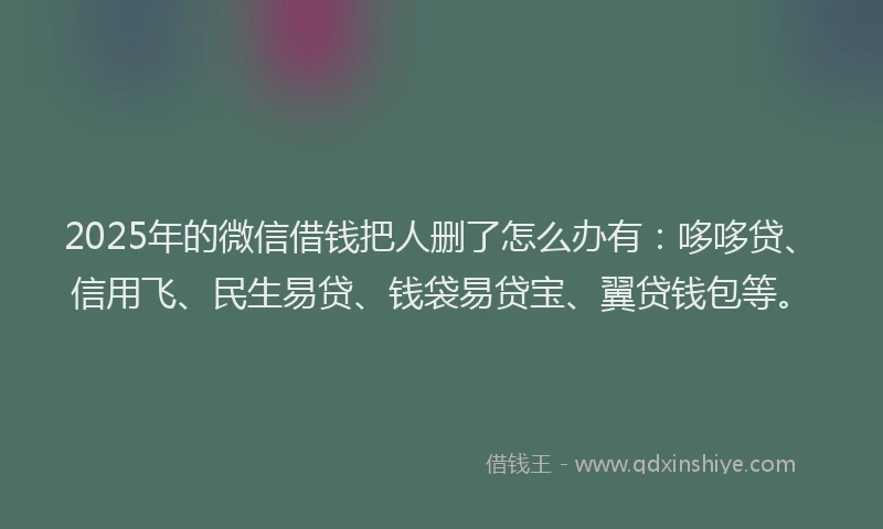 2025年的微信借钱把人删了怎么办有：哆哆贷、信用飞、民生易贷、钱袋易贷宝、翼贷钱包等。
