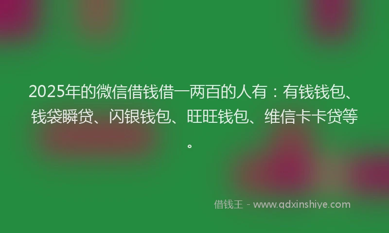 2025年的微信借钱借一两百的人有：有钱钱包、钱袋瞬贷、闪银钱包、旺旺钱包、维信卡卡贷等。