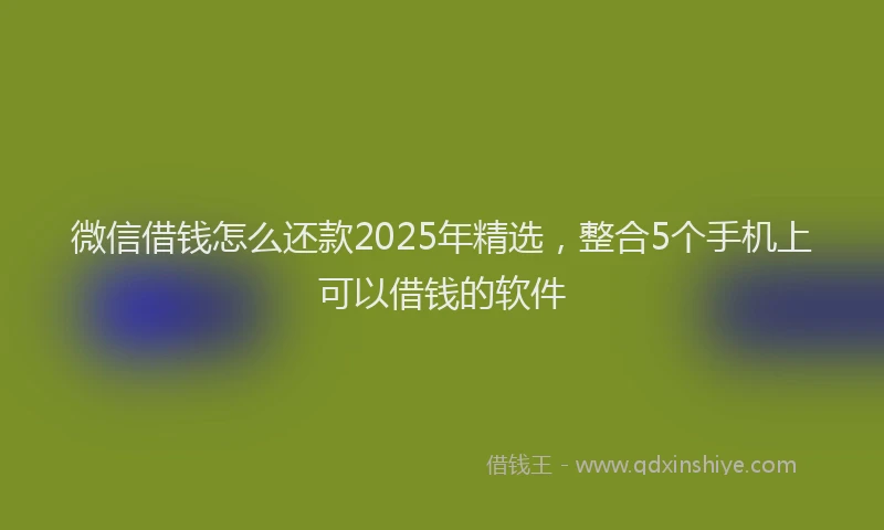 微信借钱怎么还款2025年精选，整合5个手机上可以借钱的软件