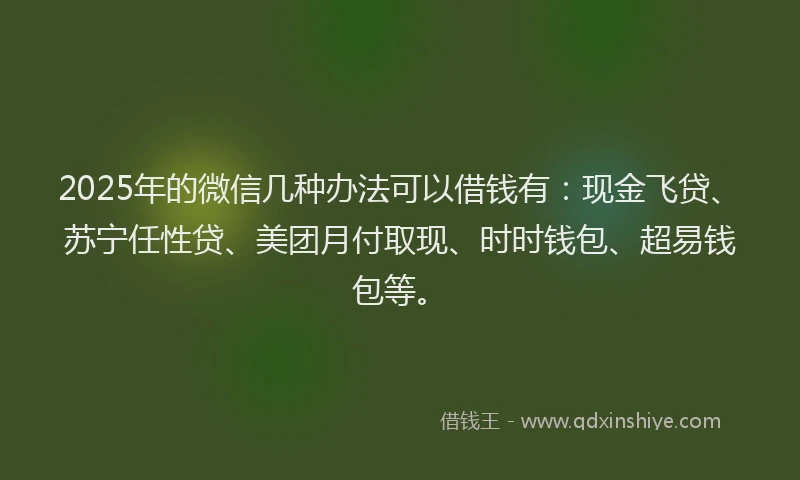 2025年的微信几种办法可以借钱有：现金飞贷、苏宁任性贷、美团月付取现、时时钱包、超易钱包等。