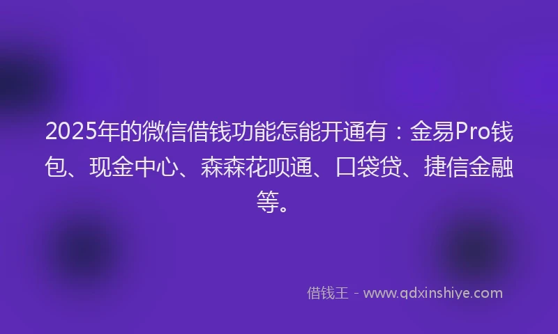 2025年的微信借钱功能怎能开通有：金易Pro钱包、现金中心、森森花呗通、口袋贷、捷信金融等。