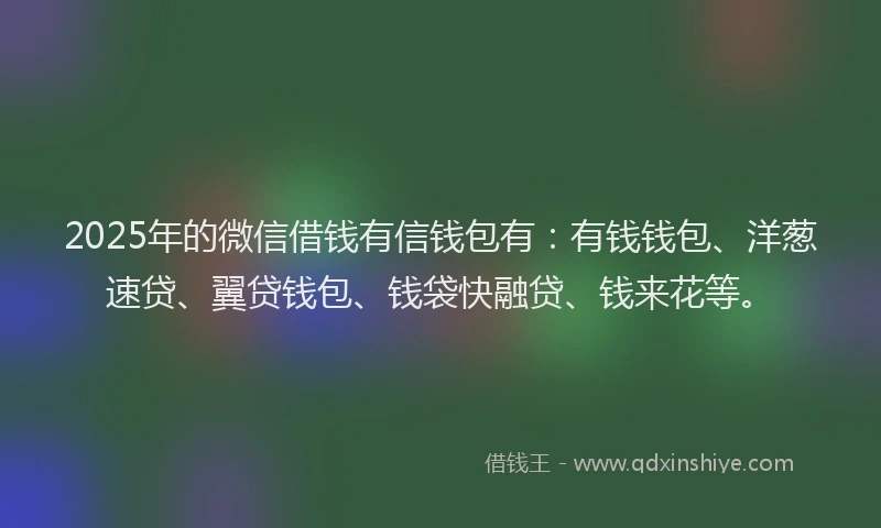 2025年的微信借钱有信钱包有：有钱钱包、洋葱速贷、翼贷钱包、钱袋快融贷、钱来花等。
