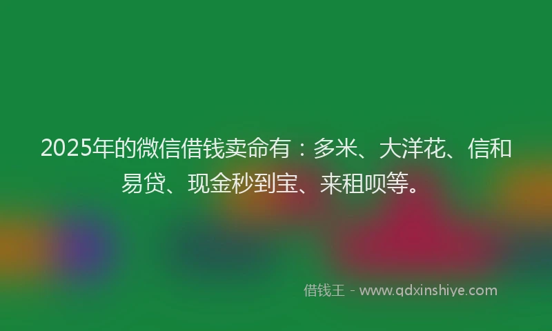 2025年的微信借钱卖命有：多米、大洋花、信和易贷、现金秒到宝、来租呗等。