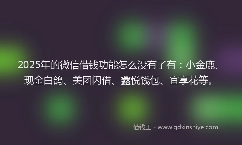 2025年的微信借钱功能怎么没有了有：小金鹿、现金白鸽、美团闪借、鑫悦钱包、宜享花等。