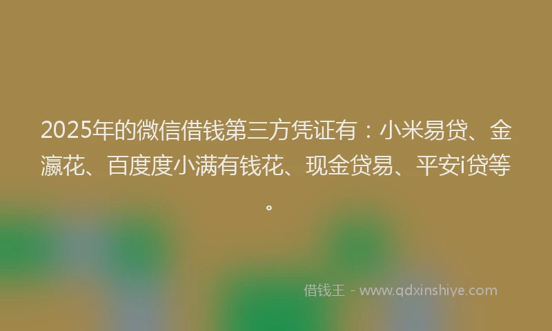 2025年的微信借钱第三方凭证有：小米易贷、金瀛花、百度度小满有钱花、现金贷易、平安i贷等。
