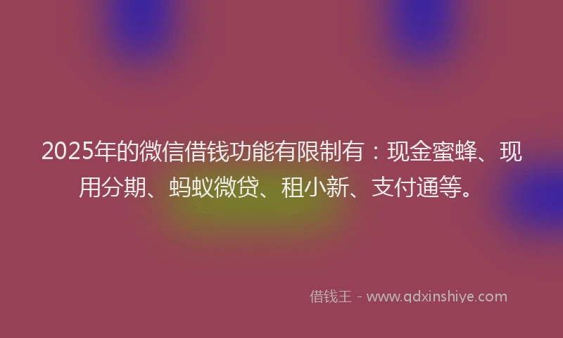 2025年的微信借钱功能有限制有：现金蜜蜂、现用分期、蚂蚁微贷、租小新、支付通等。