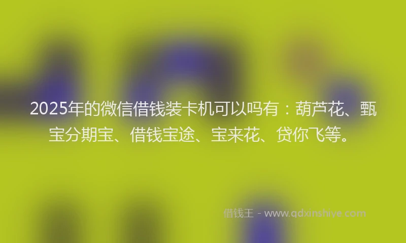 2025年的微信借钱装卡机可以吗有：葫芦花、甄宝分期宝、借钱宝途、宝来花、贷你飞等。