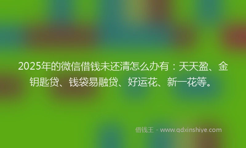 2025年的微信借钱未还清怎么办有：天天盈、金钥匙贷、钱袋易融贷、好运花、新一花等。