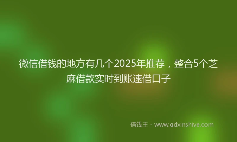 微信借钱的地方有几个2025年推荐，整合5个芝麻借款实时到账速借口子