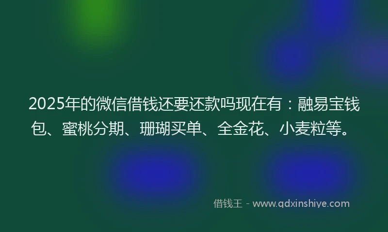 2025年的微信借钱还要还款吗现在有：融易宝钱包、蜜桃分期、珊瑚买单、全金花、小麦粒等。