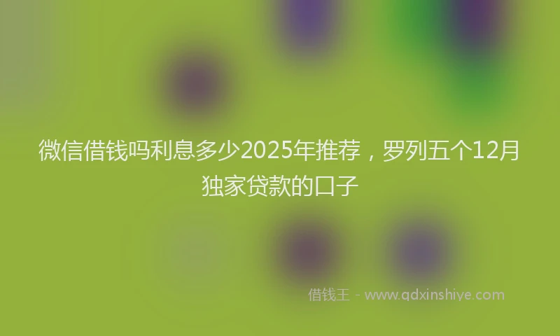 微信借钱吗利息多少2025年推荐，罗列五个12月独家贷款的口子
