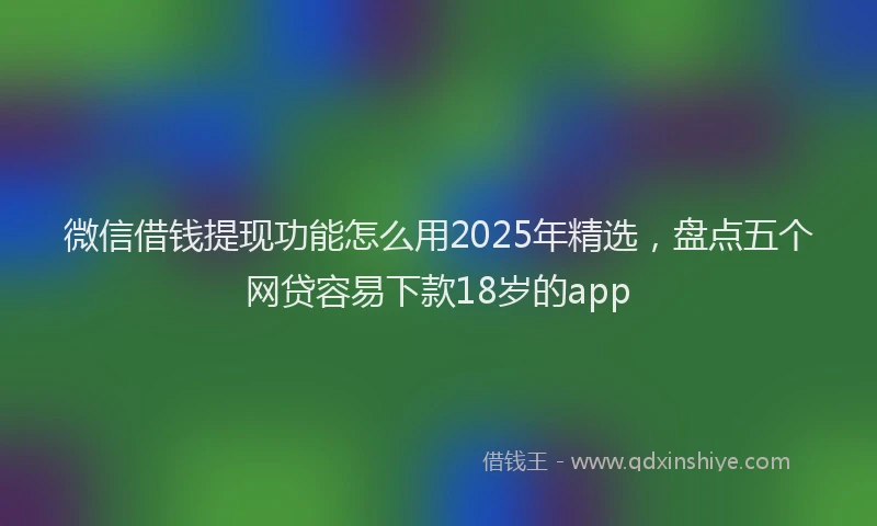 微信借钱提现功能怎么用2025年精选，盘点五个网贷容易下款18岁的app