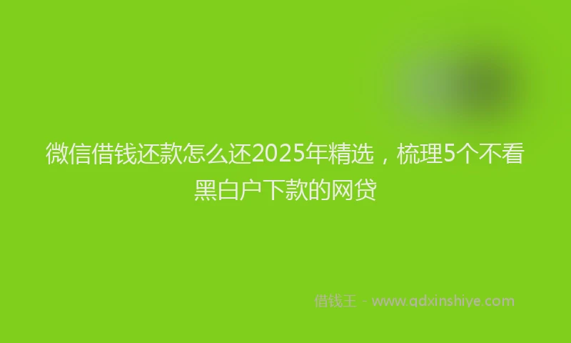 微信借钱还款怎么还2025年精选，梳理5个不看黑白户下款的网贷