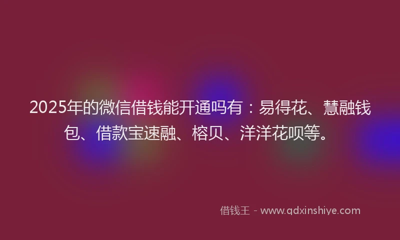 2025年的微信借钱能开通吗有：易得花、慧融钱包、借款宝速融、榕贝、洋洋花呗等。