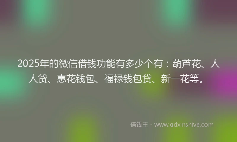 2025年的微信借钱功能有多少个有：葫芦花、人人贷、惠花钱包、福禄钱包贷、新一花等。
