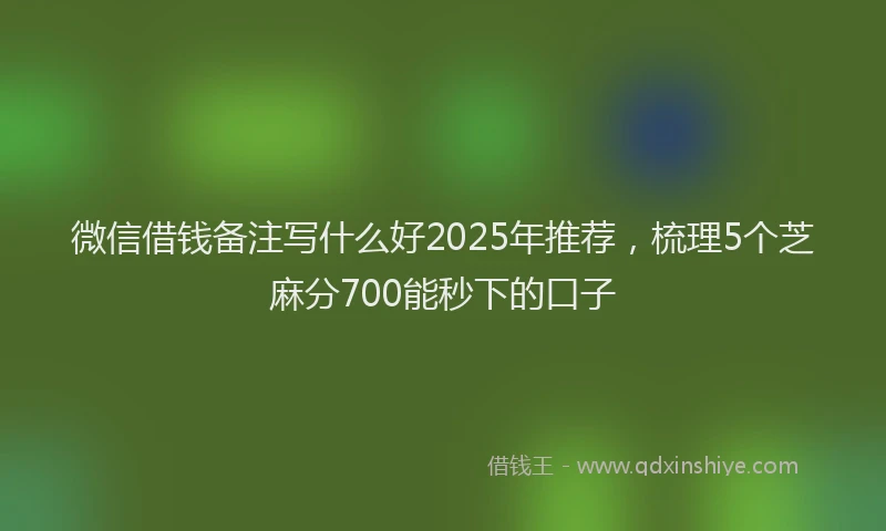 微信借钱备注写什么好2025年推荐，梳理5个芝麻分700能秒下的口子