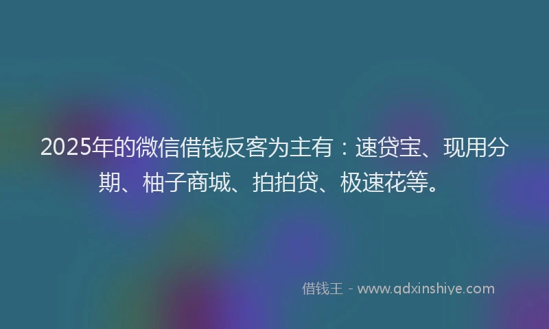 2025年的微信借钱反客为主有：速贷宝、现用分期、柚子商城、拍拍贷、极速花等。