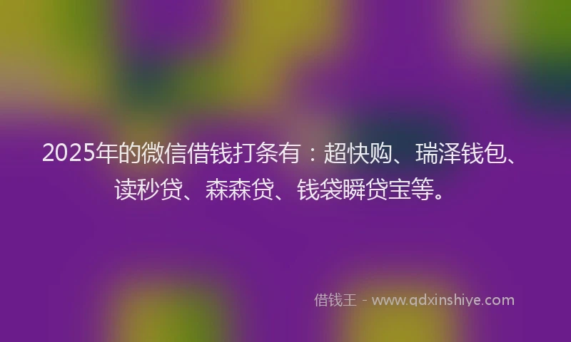 2025年的微信借钱打条有：超快购、瑞泽钱包、读秒贷、森森贷、钱袋瞬贷宝等。