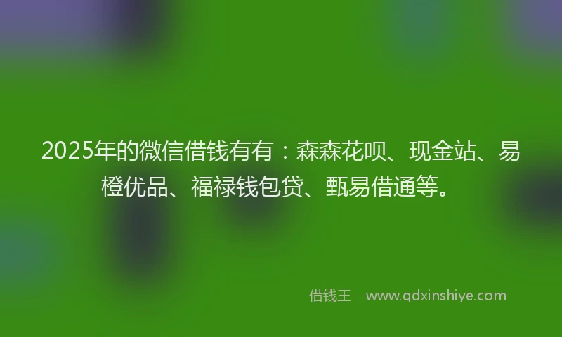 2025年的微信借钱有有：森森花呗、现金站、易橙优品、福禄钱包贷、甄易借通等。