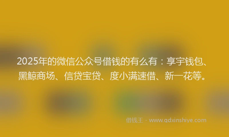 2025年的微信公众号借钱的有么有：享宇钱包、黑鲸商场、信贷宝贷、度小满速借、新一花等。