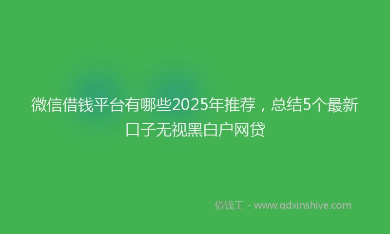 微信借钱平台有哪些2025年推荐，总结5个最新口子无视黑白户网贷