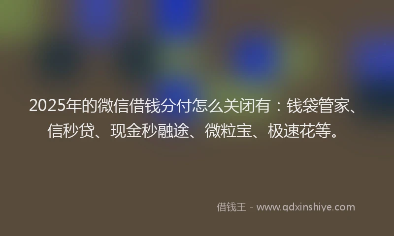 2025年的微信借钱分付怎么关闭有：钱袋管家、信秒贷、现金秒融途、微粒宝、极速花等。