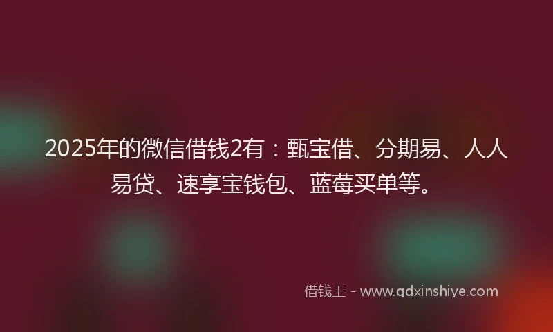 2025年的微信借钱2有：甄宝借、分期易、人人易贷、速享宝钱包、蓝莓买单等。