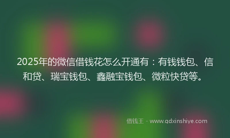 2025年的微信借钱花怎么开通有：有钱钱包、信和贷、瑞宝钱包、鑫融宝钱包、微粒快贷等。