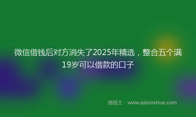 微信借钱后对方消失了2025年精选，整合五个满19岁可以借款的口子