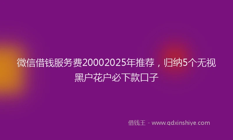 微信借钱服务费20002025年推荐，归纳5个无视黑户花户必下款口子