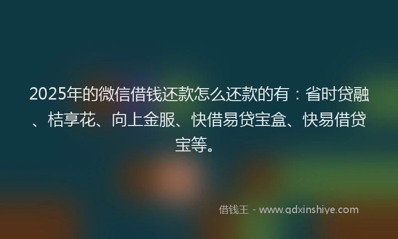 2025年的微信借钱还款怎么还款的有：省时贷融、桔享花、向上金服、快借易贷宝盒、快易借贷宝等。