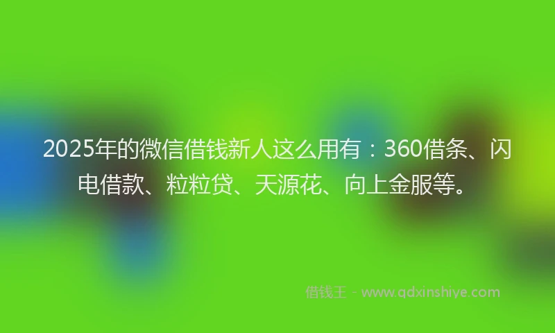 2025年的微信借钱新人这么用有：360借条、闪电借款、粒粒贷、天源花、向上金服等。