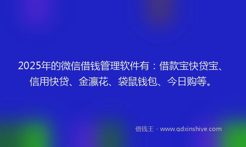 2025年的微信借钱管理软件有：借款宝快贷宝、信用快贷、金瀛花、袋鼠钱包、今日购等。