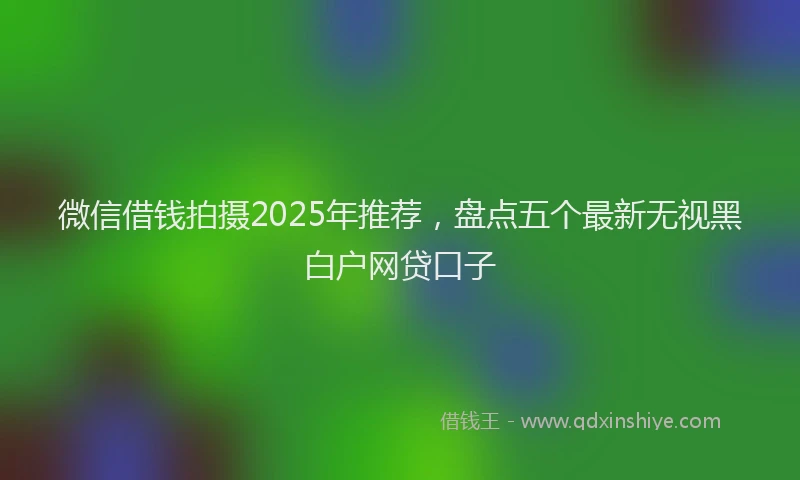 微信借钱拍摄2025年推荐，盘点五个最新无视黑白户网贷口子