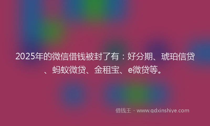 2025年的微信借钱被封了有：好分期、琥珀信贷、蚂蚁微贷、金租宝、e微贷等。