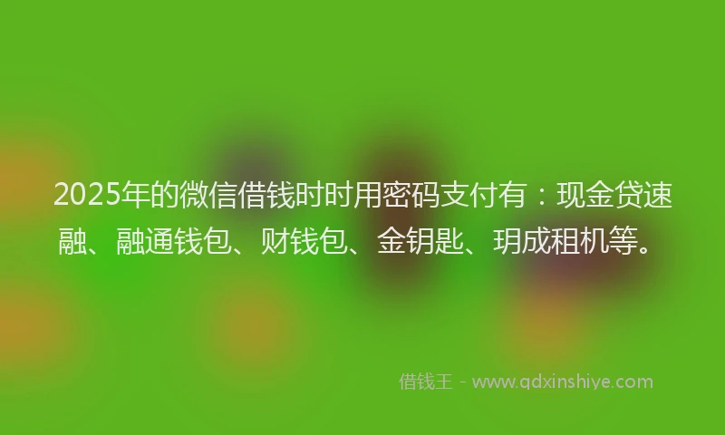2025年的微信借钱时时用密码支付有：现金贷速融、融通钱包、财钱包、金钥匙、玥成租机等。