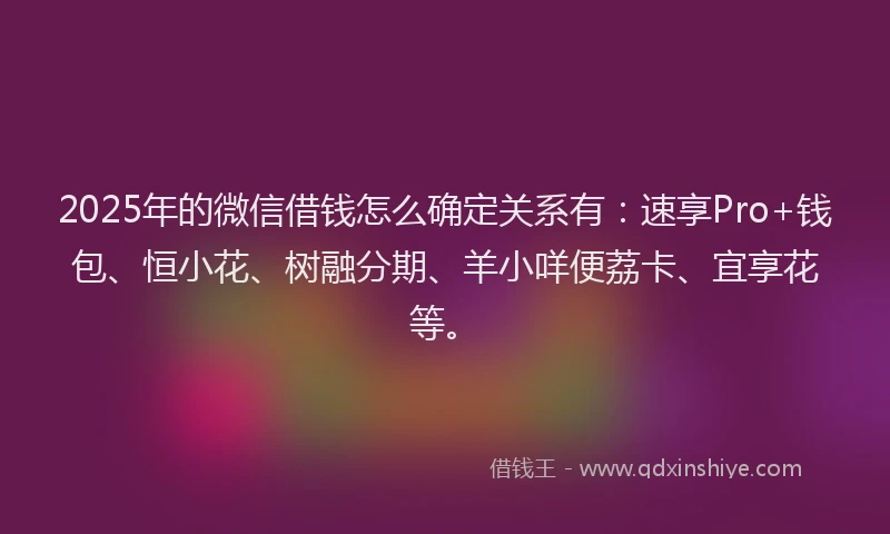 2025年的微信借钱怎么确定关系有：速享Pro+钱包、恒小花、树融分期、羊小咩便荔卡、宜享花等。